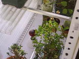 th_59677_9_detalle_interior_123_552lo.JPG