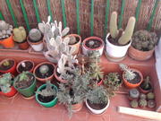 th_73540_Foto0041_122_192lo.jpg