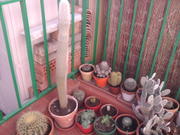 th_73573_Foto0042_122_651lo.jpg