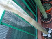 th_737896228_DSC01033_122_575lo.JPG