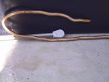 th_80102_PIC_0011_122_95lo.JPG