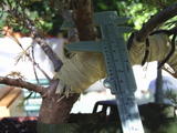 th_80219_PIC_0014_122_362lo.JPG