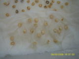 th_86915_SUC40003_122_95lo.JPG