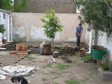 th_90711_P1150866_122_62lo.jpg