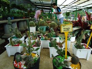 th_91284_Image1_122_583lo.jpg