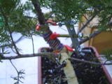 th_94137_PIC_0016_122_660lo.JPG