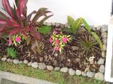 th_97431_Imagen_007_122_1067lo.jpg
