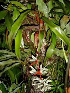 th_98996_Image3_122_1139lo.jpg