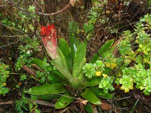 th_99984_Image3_122_368lo.jpg