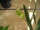 th_CIMG2559.jpg