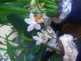 th_CIMG2773.jpg