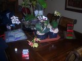 th_CIMG2814.jpg