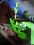 th_CIMG2948.jpg