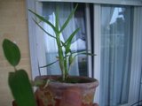 th_CIMG3063.jpg