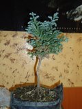 th_DSC00440.jpg