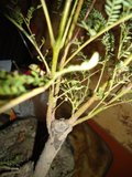 th_DSC00458.jpg