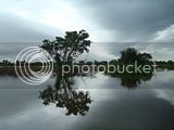 th_DSC07014.jpg