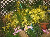 th_febrero-08068.jpg