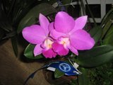th_febrero-08076.jpg