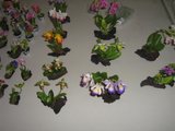 th_febrero-08087.jpg