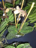 th_febrero-08097.jpg