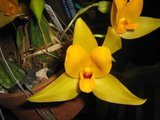 th_febrero-08107.jpg