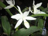 th_febrero-08118.jpg