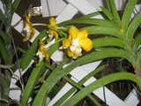 th_febrero-08137.jpg