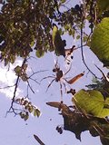 th_FernandoN0452.jpg