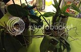 th_IMG_6347_zps06ceccf9.jpg