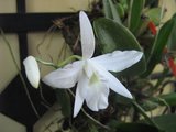 th_nov-07220.jpg