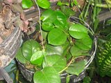 th_oct-07115.jpg