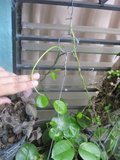 th_oct-07118.jpg