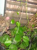th_oct-07119.jpg