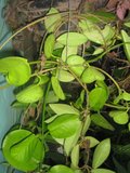 th_oct-07121.jpg