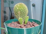 th_P1010745.jpg
