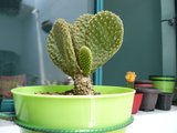 th_P1010746.jpg
