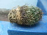 th_P1010754.jpg