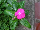 th_PB090276.jpg