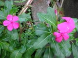 th_PB090277.jpg