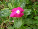 th_PB090282.jpg