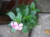th_PB090287.jpg