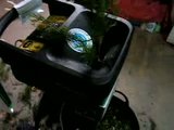 th_PICT0034.jpg