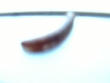 th_PICT0089.jpg