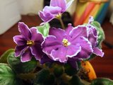 th_Picture073.jpg
