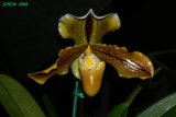 th_soem_2008_12.jpg