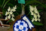 th_SOEM_2011_001.jpg