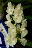th_SOEM_2011_002.jpg