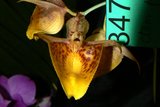 th_SOEM_2011_003.jpg