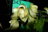 th_SOEM_2011_004.jpg